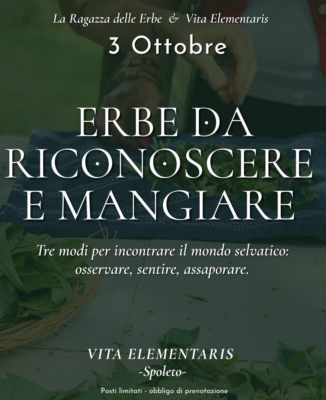 RESIDENZA CANTI DALL' AFRICA